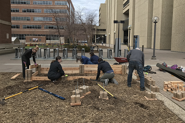 Student building the plant beds for the IP Student Garden