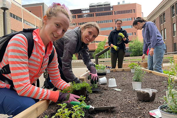 Students planting in the garden