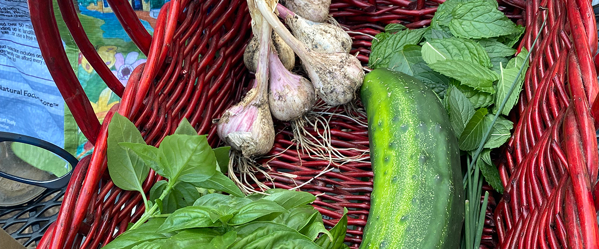 picked vegetables in basket