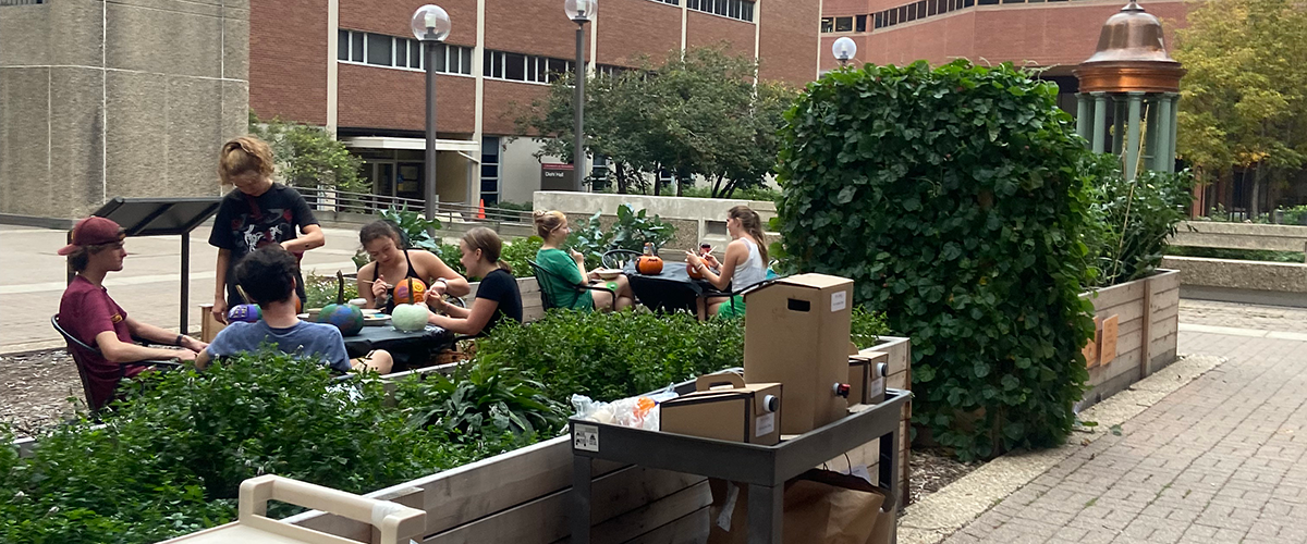 students sitting at tables in garden area